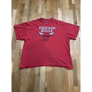 Vintage NBA‎ Chicago Bulls t-shirt Size 2XL